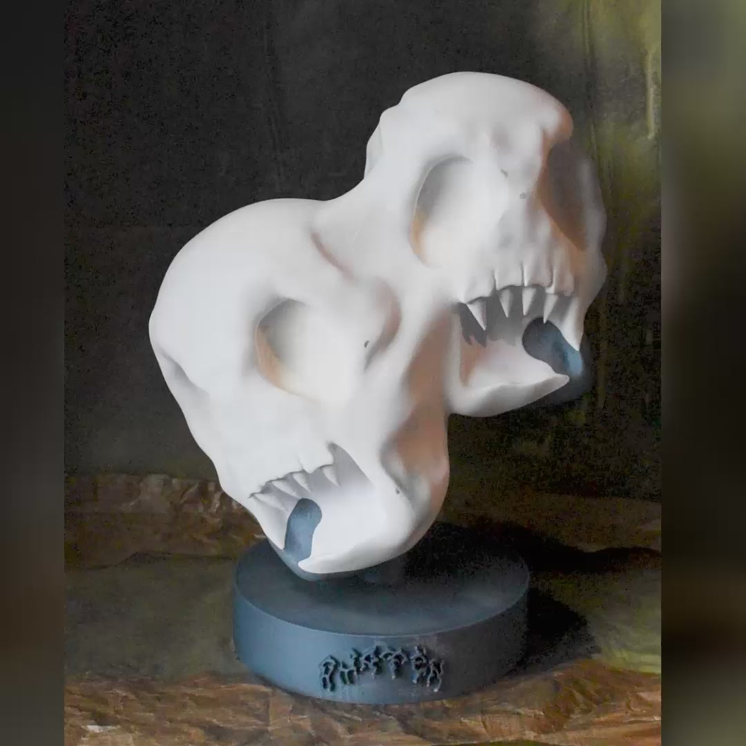 n°001 • Loharoa • Dual Skull Artifact